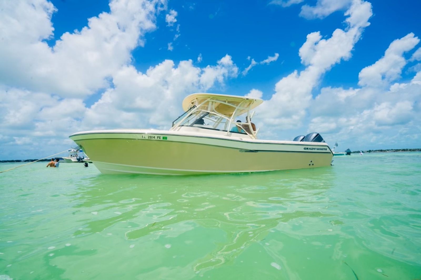 WhatsApp Image 2025-03-28 at 01.55.29